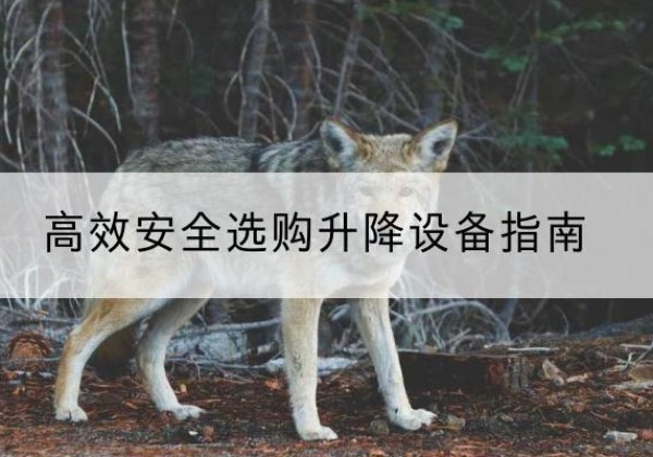 沁县升降货梯厂家推荐-*安全选购升降设备指南
