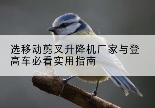 沁县电动升降机厂家-选移动剪叉升降机厂家与登高车必看实用指南